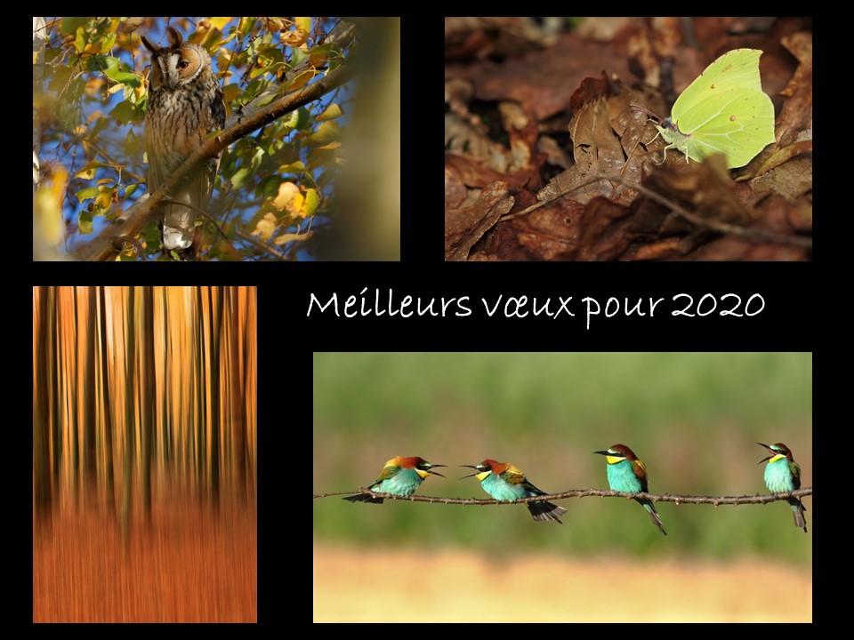 voeux 2020...